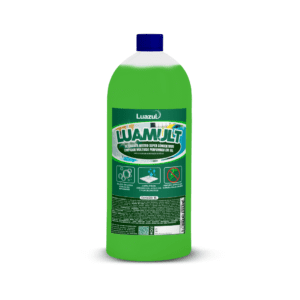 1L